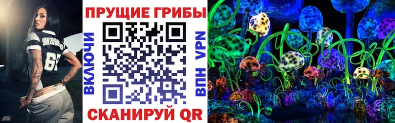Купить закладки  Венёв  Галлюциногенные грибы прущие грибы 
