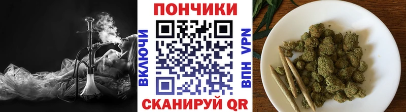 Бошки Шишки Amnesia Венёв